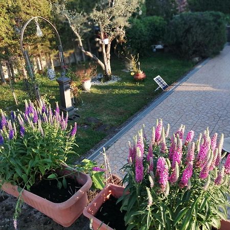 أريانو إربينو B&B Villa Milena المظهر الخارجي الصورة