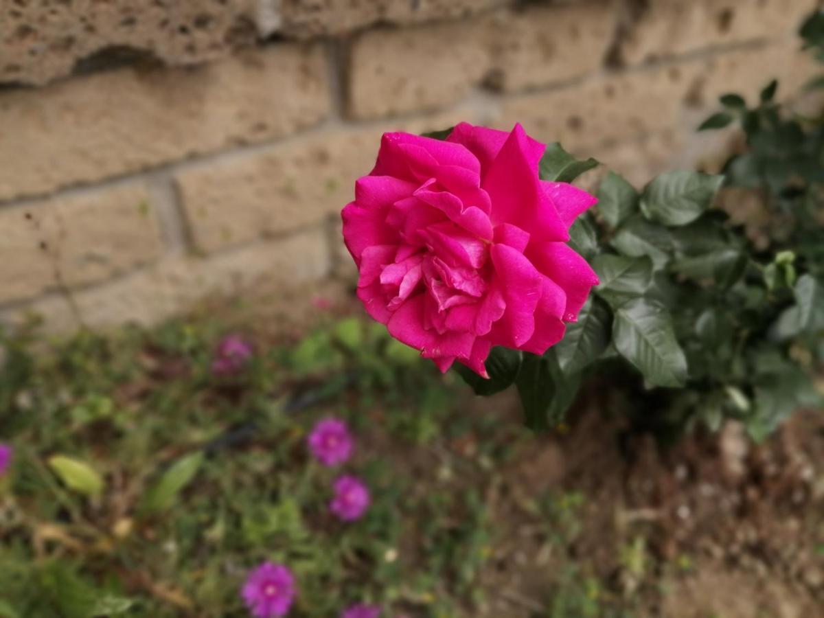 أريانو إربينو B&B Villa Milena المظهر الخارجي الصورة