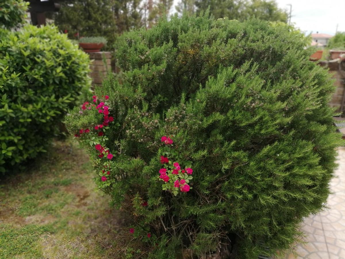 أريانو إربينو B&B Villa Milena المظهر الخارجي الصورة