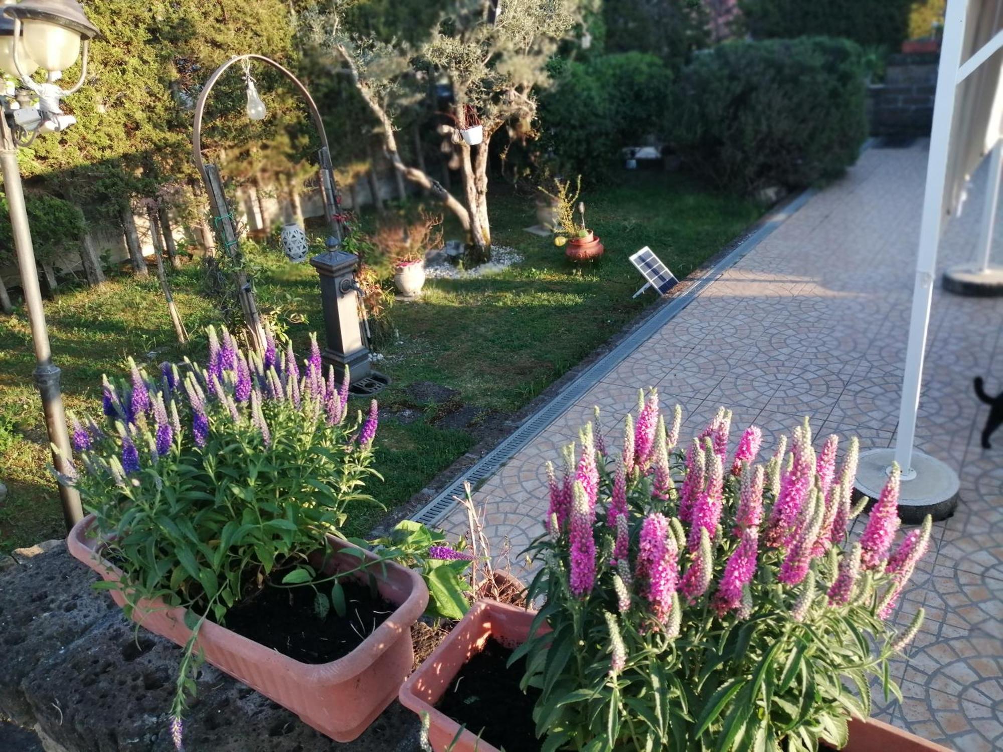 أريانو إربينو B&B Villa Milena المظهر الخارجي الصورة