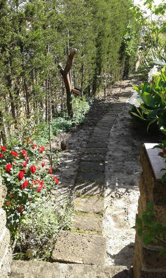 أريانو إربينو B&B Villa Milena المظهر الخارجي الصورة